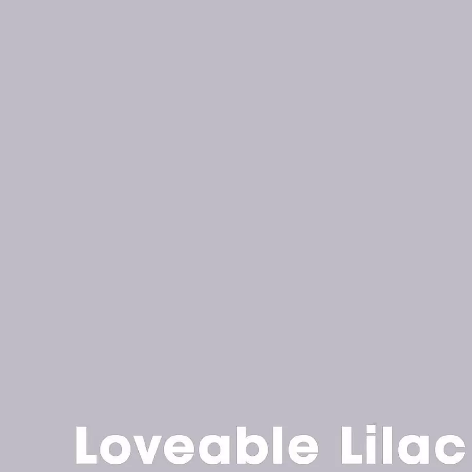 kwantum Muurverf Professional Loveable Lilac - 1 L