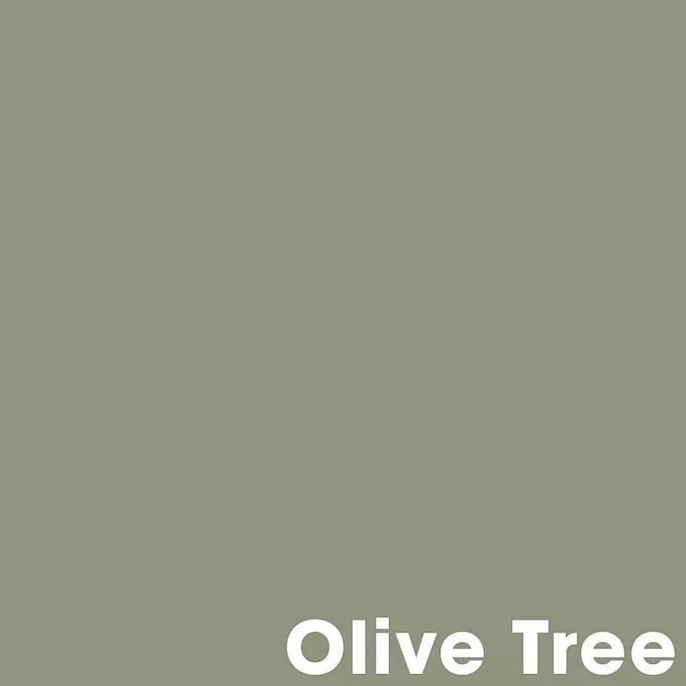 kwantum Muurverf Professional Olive Tree - 1 L